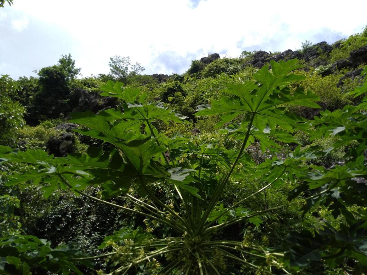 Ali Homestay Ninh Bình Exteriör bild